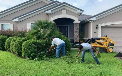 The Importance of Landscaping in Winter Park, FL by Grass Roots Outdoors, LLC